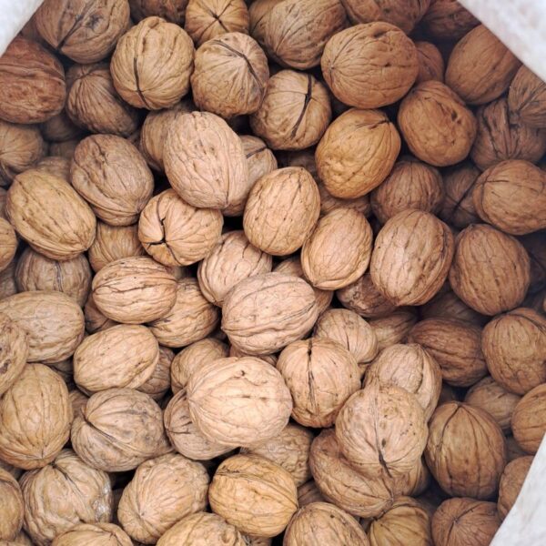 Nuez con Cascara