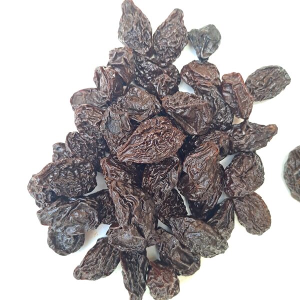 Guindon Chico Kg