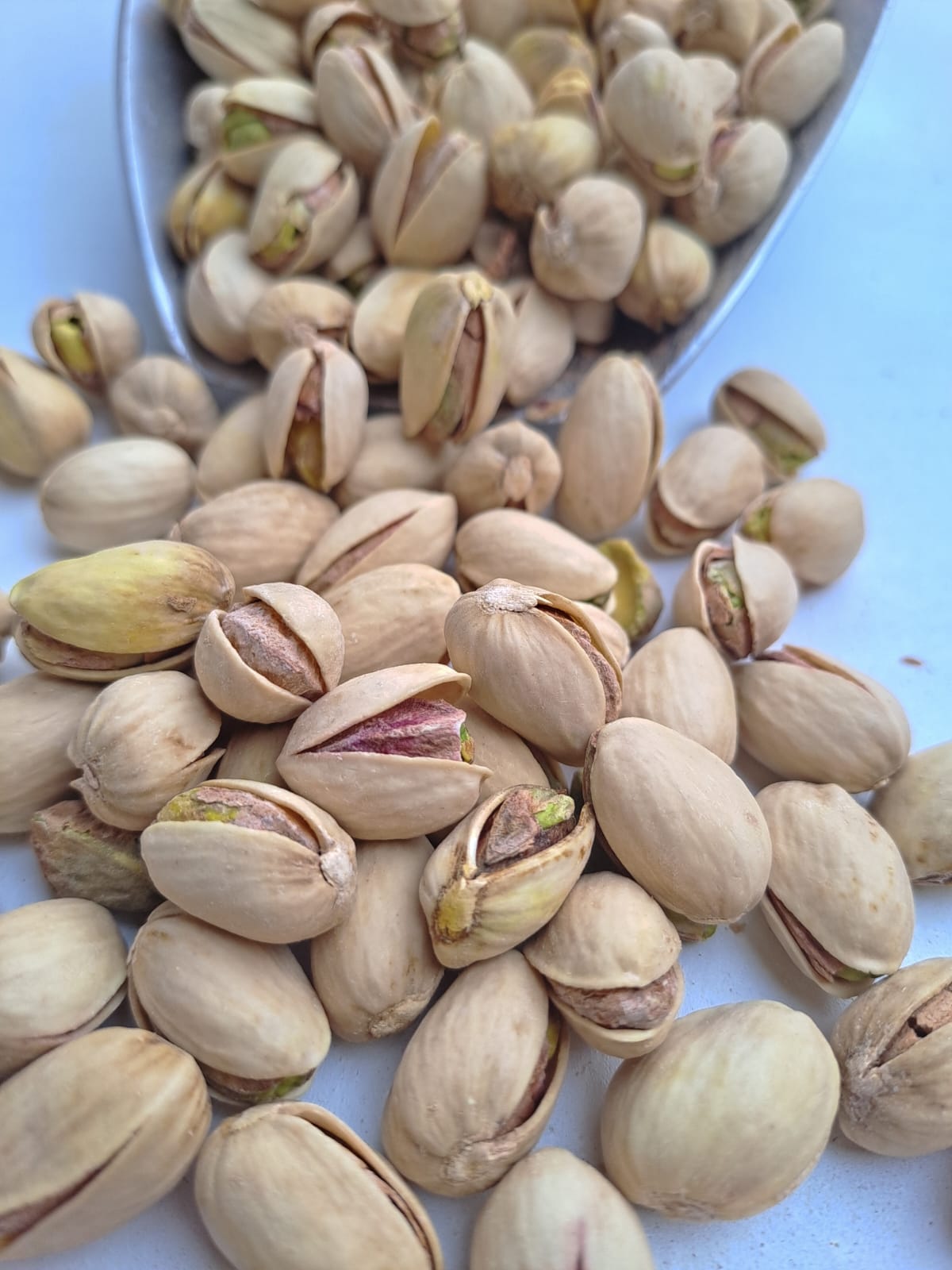 WhatsApp Image 2022-10-15 at 4.21.09 PM Pistachos Salados Kg - Imagen 1
