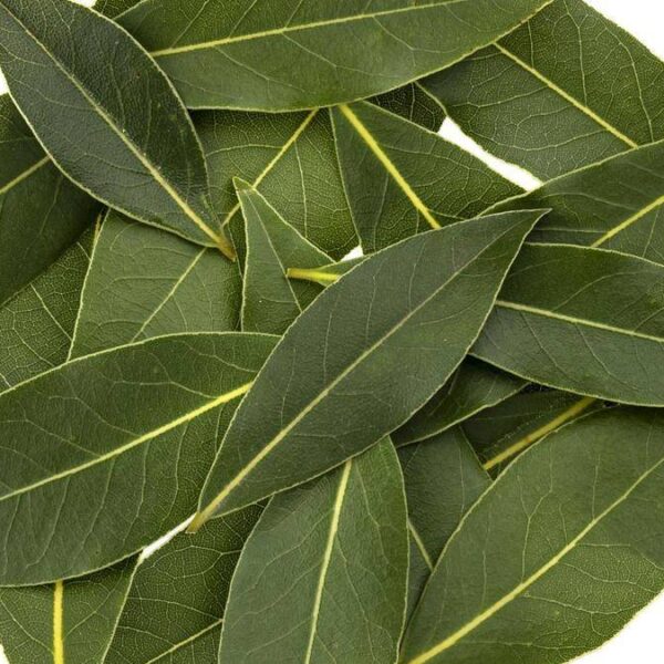 Hoja De Laurel Kg