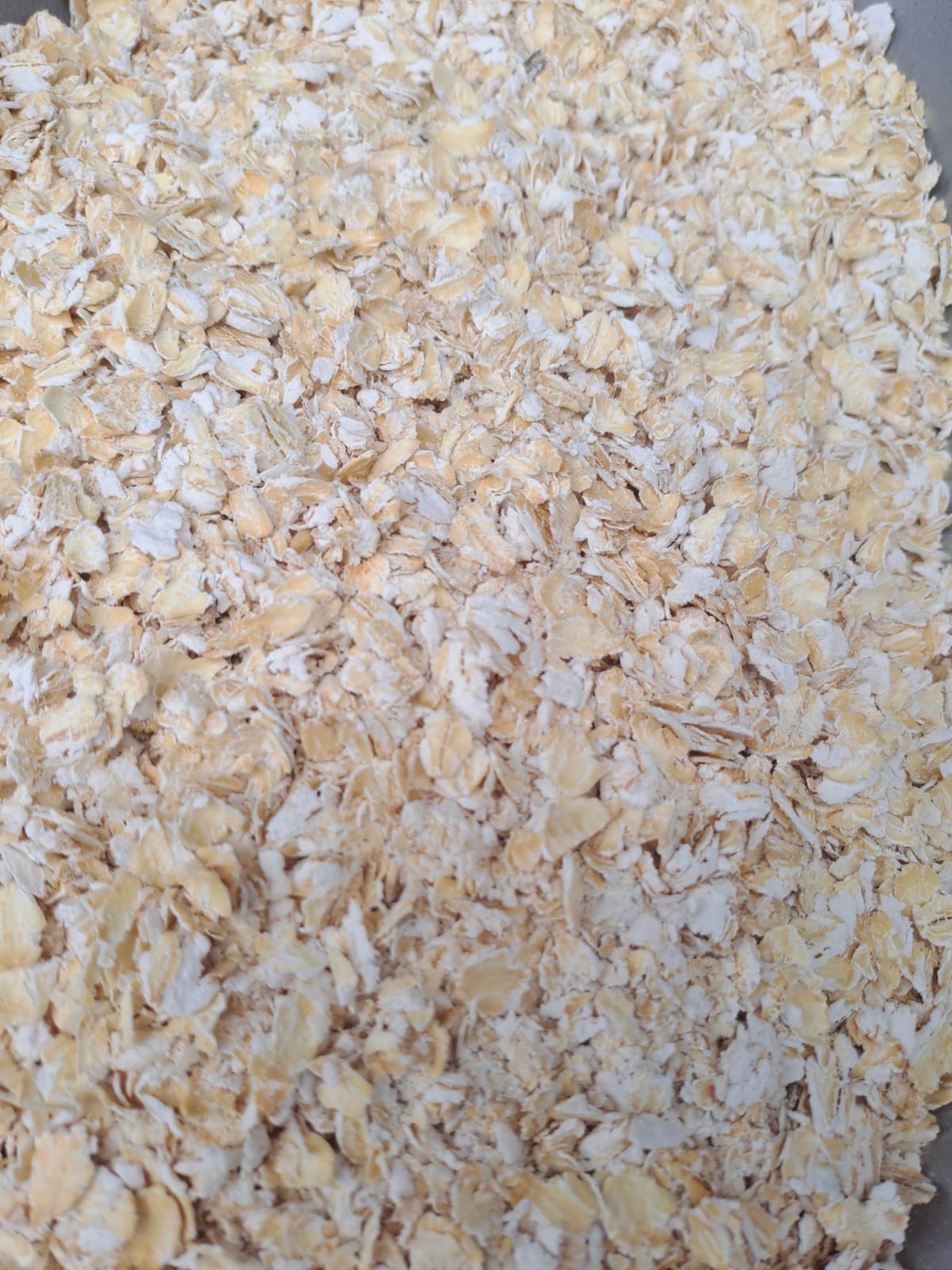 WhatsApp Image 2026-01-19 at 11.55.13 AM Avena Serrana Kg - Imagen 1